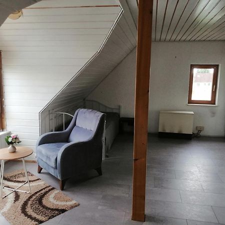 Appartement Oaz à Ehingen  Extérieur photo